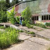 Die Rampe für die LKW ist kaum noch als solche zu erkennen - zwischen den Betonplatten wachsen Bäume