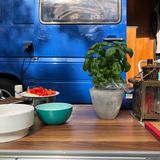 Mein wichtigster Gegenstand beim Campen ist:  "Diese Basilikum-Pflanze. Wir haben auf Reisen immer eine dabei - zum Kochen, aber auch als Deko für den Tisch." (Britt)