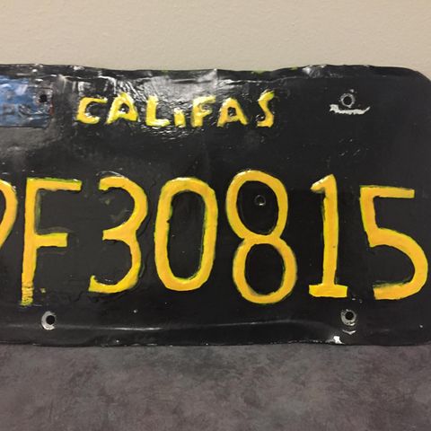 Das von der Polizei sichergestellte Nummernschild