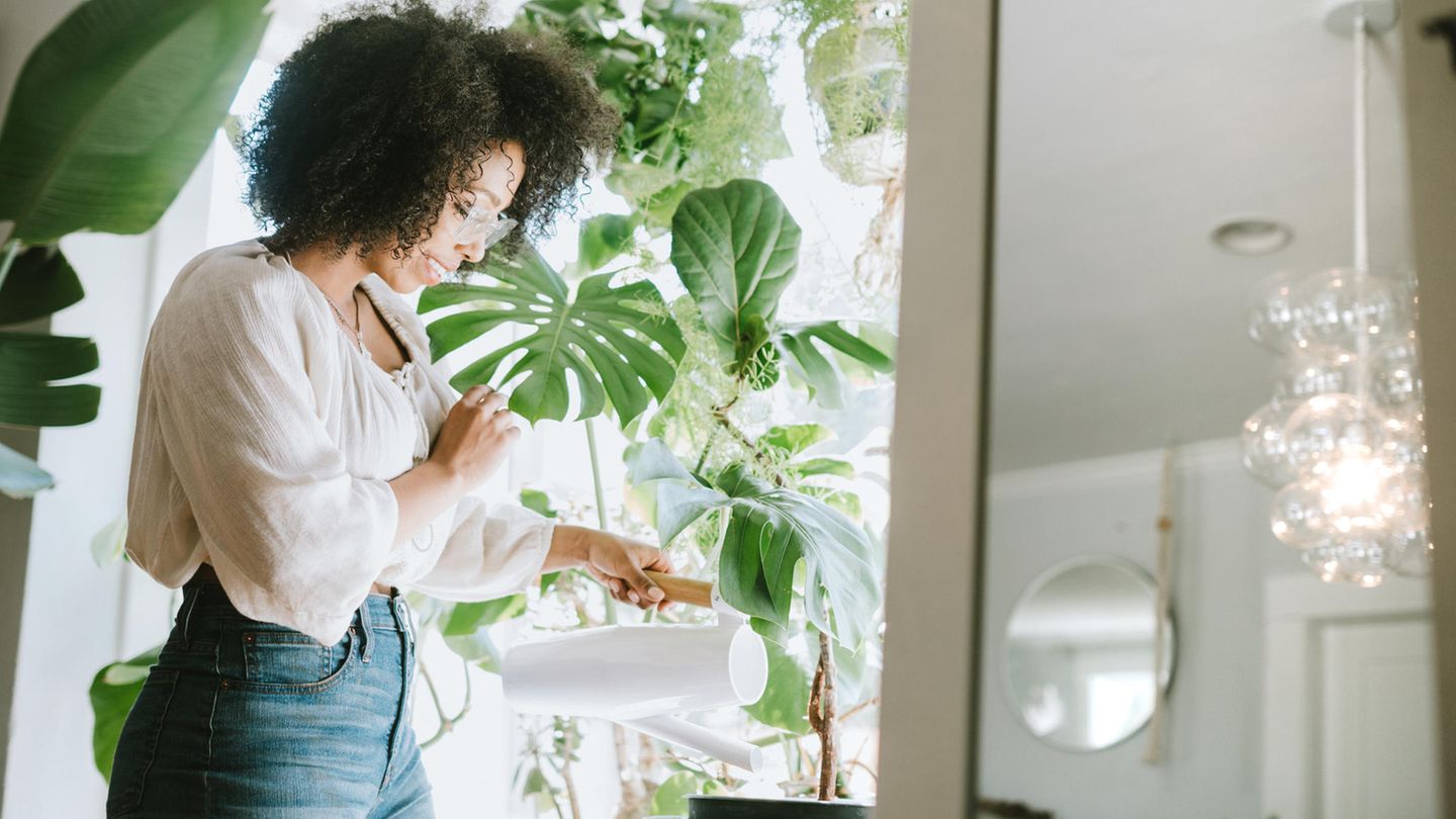 Urban Gardening: Mit diesen Ideen wird deine Wohnung zum urbanen Dschungel