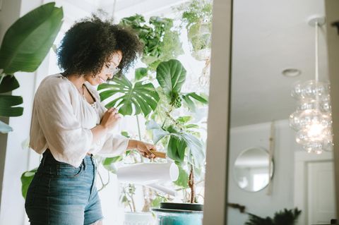 Urban Gardening: Mit diesen Ideen wird deine Wohnung zum urbanen Dschungel