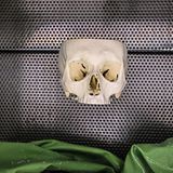 Mailand, Italien: Im Druckverfahren erstellte Implantate wie diese in Mailand vom Technologie-Unternehmen Skorpion Engineering erstellte Rekonstruktion eines Schädelknochens sollen einmal routinemäßig in der Orthopädie zum Einsatz kommen