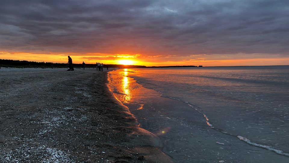 Darß Sonnenuntergang Darß Sonnenuntergang