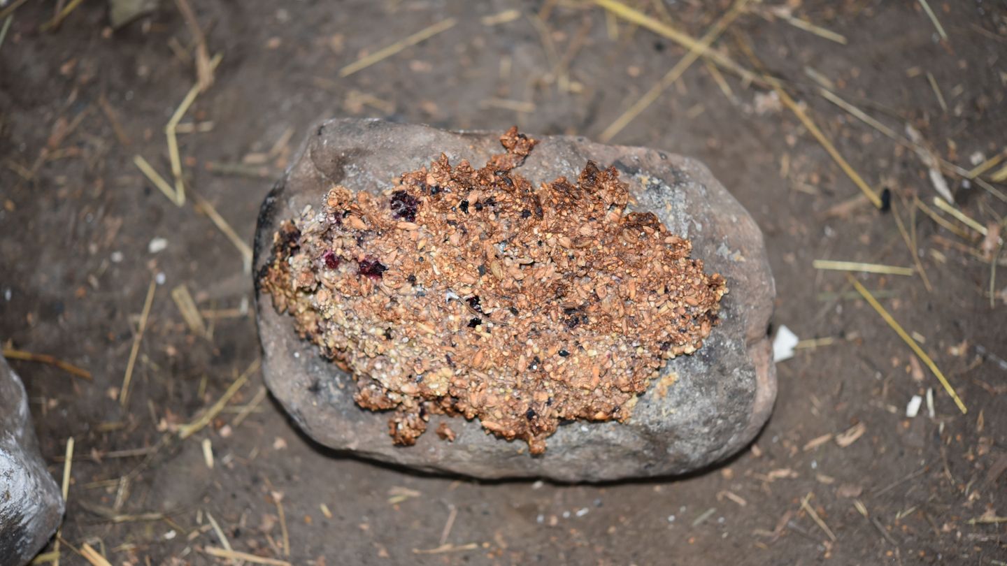 auf Stein gebackene Kekse, ...