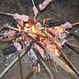 Und das ist der Grund, warum Feuermachen so wichtig ist: Nach acht Stunden Survival-Training gibt es endlich Abendessen – am Lagerfeuer gegrilltes Putenfleisch.