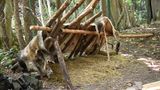 Nein, das sind nicht die Wildschweine von vorhin: Ein Schlafplatz für eine Person mit einfachsten Mitteln aufgebaut