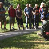 Nicht aufs Essen treten! Klee ist ein guter Eiweißlieferant und wächst auf fast jeder Wiese.