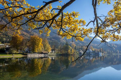 Das Bergpanorama bei Kochel am See