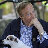 Der italienische Regisseur Franco Zeffirelli