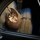 Aus dem Pflichtenheft des Citroen 2 CV: Einen Korb Eier unbeschadet über den Acker fahren