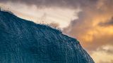 Kategorie Natur, 2. Platz: Traumfänger  "Was passiert, bevor eine Welle bricht? Diese Frage war meine Aufgabe im vergangenen Jahr. An diesem Tag habe ich beschlossen, den Sonnenuntergang auf der Ostseite von Oahu, Hawaii, zu fotografieren", erinnert sich Danny Sepkowski. "Ich musste in meinen Sucher schauen, während sich diese Welle brach. Keine leichte Aufgabe, um nicht zermalmt zu werden."      https://yourshot.nationalgeographic.com/photos/12646052/