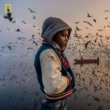 Kategorie Menschen, lobende Erwähnung: Melancholie am Morgen  "Diesen Moment habe ich bei Sonnenaufgang am Ufer des Yamuna-Flusses in Delhi, Indien, festgehalten", sagt Navin Vatsa zu seinem Foto. "Dieser Junge dachte schweigend nach, und die Besucher genossen das laute Zwitschern von Tausenden von Möwen."      https://yourshot.nationalgeographic.com/photos/13204585/