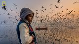 Kategorie Menschen, lobende Erwähnung: Melancholie am Morgen  "Diesen Moment habe ich bei Sonnenaufgang am Ufer des Yamuna-Flusses in Delhi, Indien, festgehalten", sagt Navin Vatsa zu seinem Foto. "Dieser Junge dachte schweigend nach, und die Besucher genossen das laute Zwitschern von Tausenden von Möwen."      https://yourshot.nationalgeographic.com/photos/13204585/