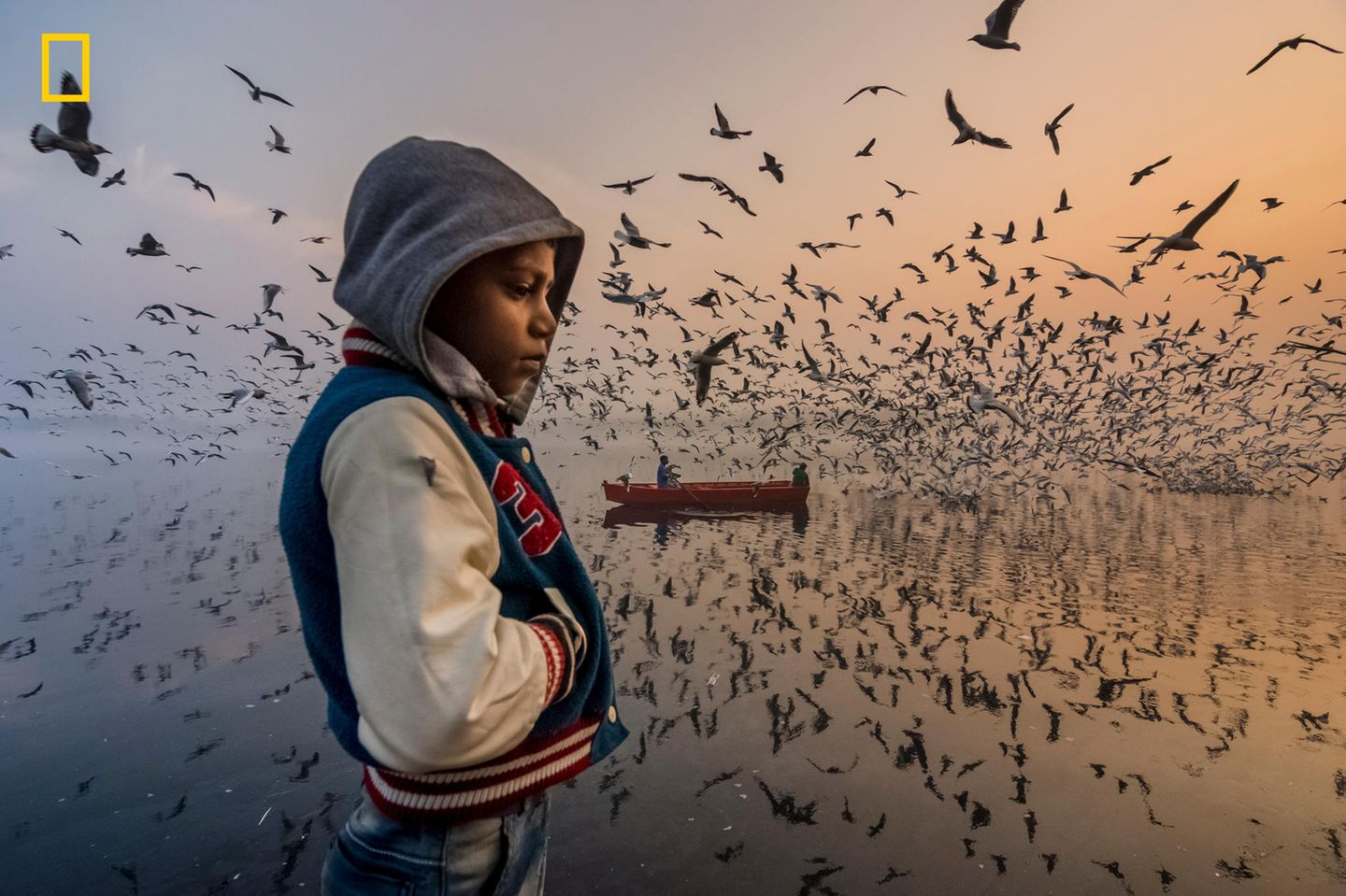 Fotowettbewerb National Geographic 2019: Kategorie Menschen, lobende Erwähnung: Melancholie am Morgen "Diesen Moment habe ich bei Sonnenaufgang am Ufer des Yamuna-Flusses in Delhi, Indien, festgehalten", sagt Navin Vatsa zu seinem Foto. "Dieser Junge dachte schweigend nach, und die Besucher genossen das laute Zwitschern von Tausenden von Möwen." https://yourshot.nationalgeographic.com/photos/13204585/ Kategorie Menschen, lobende Erwähnung: Melancholie am Morgen "Diesen Moment habe ich bei Sonnenaufgang am Ufer des Yamuna-Flusses in Delhi, Indien, festgehalten", sagt Navin Vatsa zu seinem Foto. "Dieser Junge dachte schweigend nach, und die Besucher genossen das laute Zwitschern von Tausenden von Möwen." https://yourshot.nationalgeographic.com/photos/13204585/