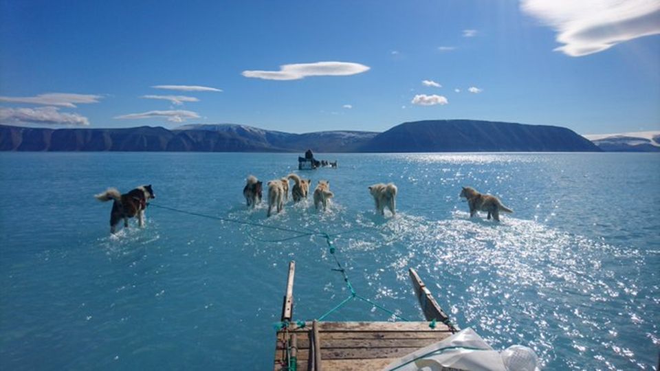 Grönland im Frühling: Schlittenhunde laufen scheinbar über Wasser