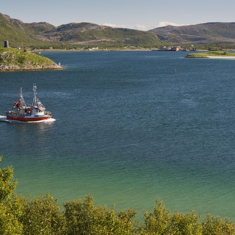 Auf der norwegischen Insel Sommarøy geht die Sonne im Sommer knapp 70 Tage lang nicht unter
