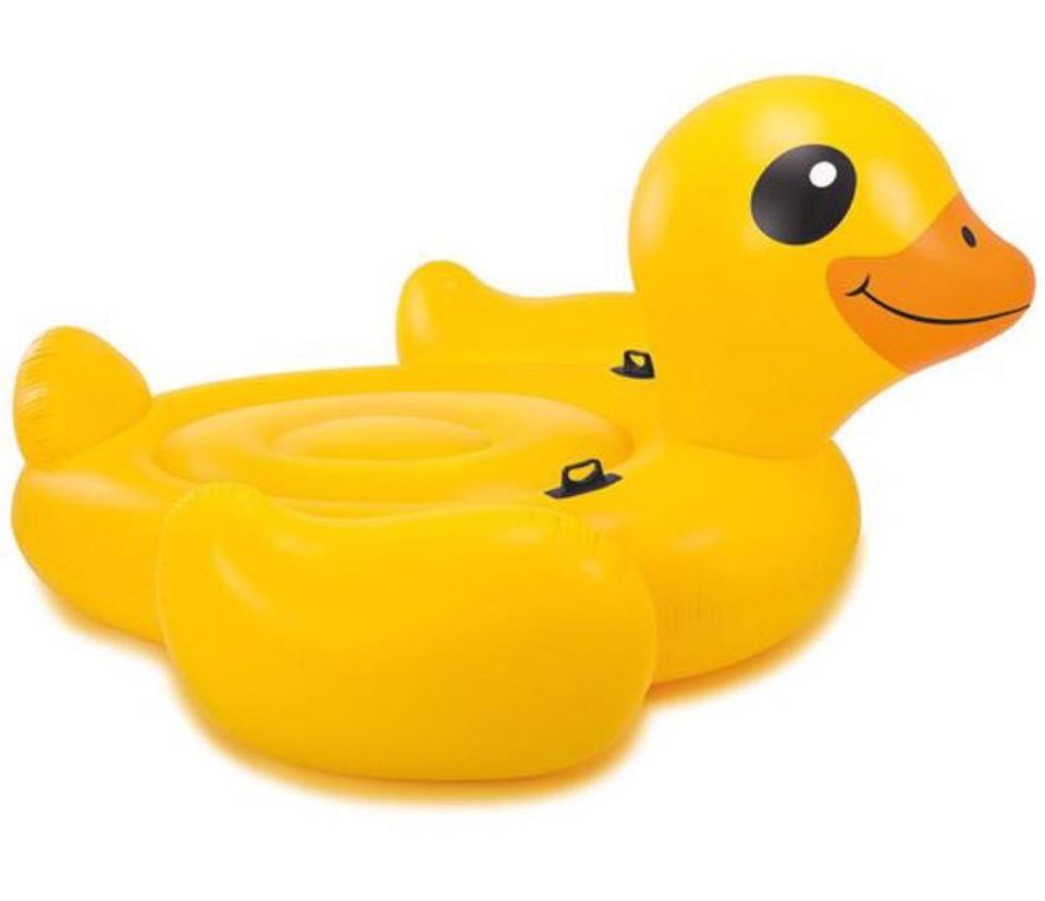 Riesenschwimmente Riesenschwimmente