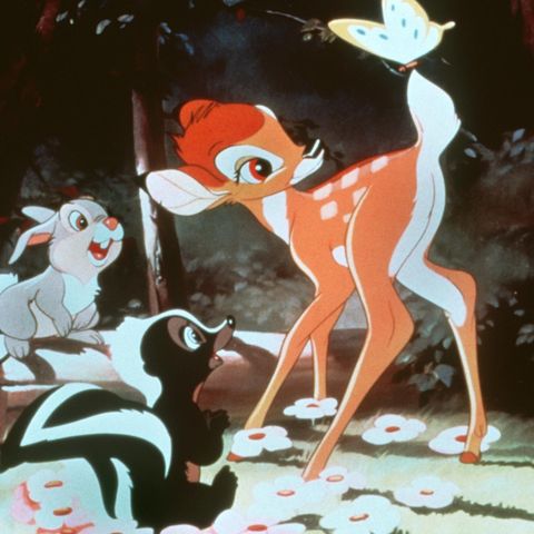Bambi und seine Freunde im Wald