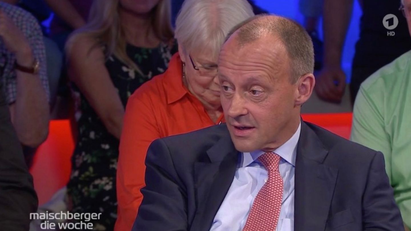 Friedrich Merz Mit Jeder Faser Strahlt Er Aus Ich Kann Kanzler Mit Mir Ware Die Cdu Besser Dran Stern De