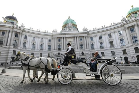 Fiaker fährt in der Wiener Innenstadt