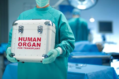 Organspende ist ein immer wieder heiß diskutiertes Thema