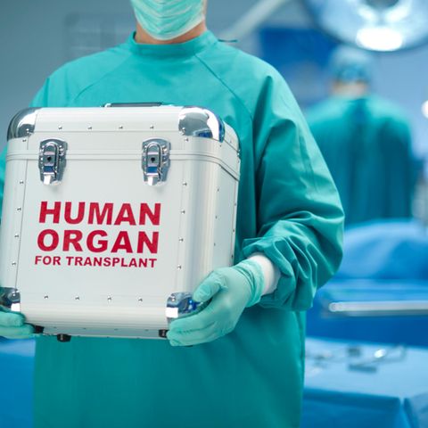 Organspende ist ein immer wieder heiß diskutiertes Thema