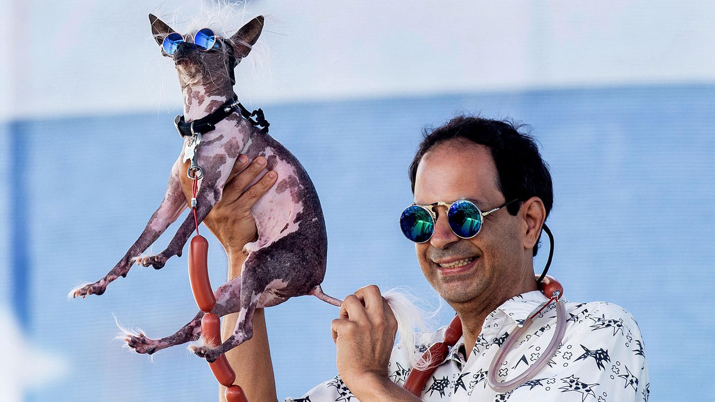 World's Ugliest Dog Contest: Dane Andrew hält seinen Hund Rascal bei dem World's Ugliest Dog Contest in der luft.