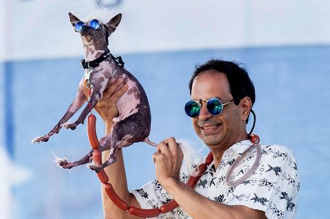 World's Ugliest Dog Contest: Dane Andrew hält seinen Hund Rascal bei dem World's Ugliest Dog Contest in der luft.