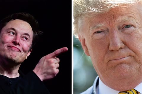 Elon Musk und Donald Trump sind bei Deepfake-Erstellern besonders beliebt