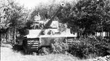 Tigerpanzer im Sommer 1944.