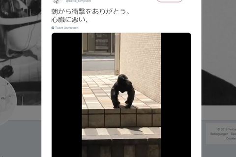 Ein Rabe sitzt auf einer Treppe