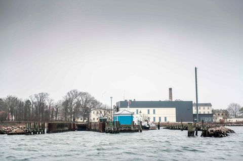 Die Insel Lindholm in Dänemark
