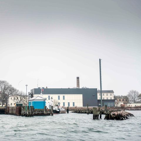 Die Insel Lindholm in Dänemark
