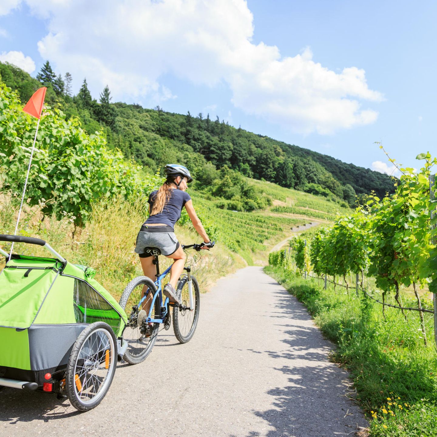 kinderfahrrad 18er BIKESTAR für Jungen ab 5 Jahre | 18 Zoll Kinderrad Classic | Fahrrad für Kinder Grün Color:Black Mat/Green zoology Einfaches Sauerkraut Grundrezept