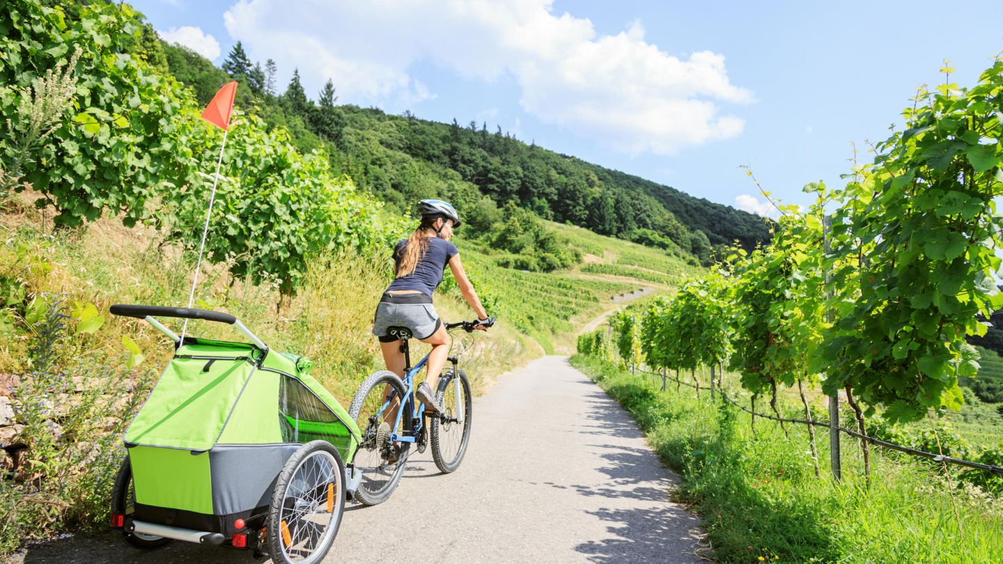 Mit einem Anhänger kann man die Kleinen sogar mit auf eine Tour nehmen.