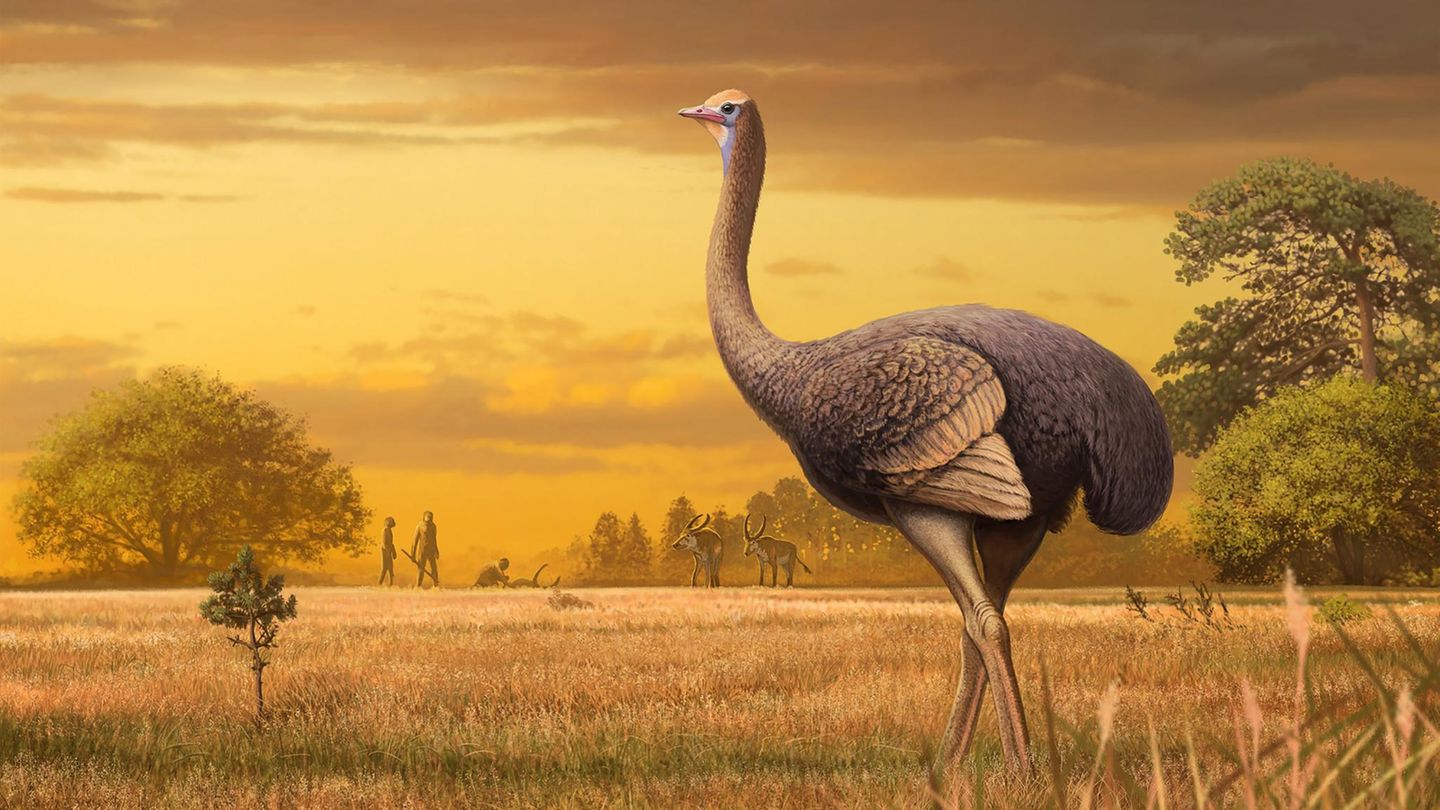 Illustration von Urvogel