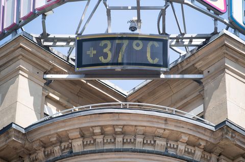 Baden-Württemberg, Stuttgart: Macht Hitze aggressiv?
