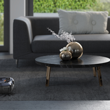 Staubsaugroboter: AEG RX9-1-IBM X  Den besten Kompromiss aus Preis und Leistung bietet bei aktuellen Saugrobotern der AEG RX9-1-IBM X. Im Test landete er mit mit guter Saugleistung und Navigation auf dem zweiten Platz, wie alle anderen Modelle im Test hatte er aber Probleme beim Reinigen von Ecken sowie der Handhabung. Die Gesamtwertung: "gut" (2,5). Der Preis beginnt bei 575 Euro.  Den gesamten Test finden Sie gegen Gebühr auf test.de.