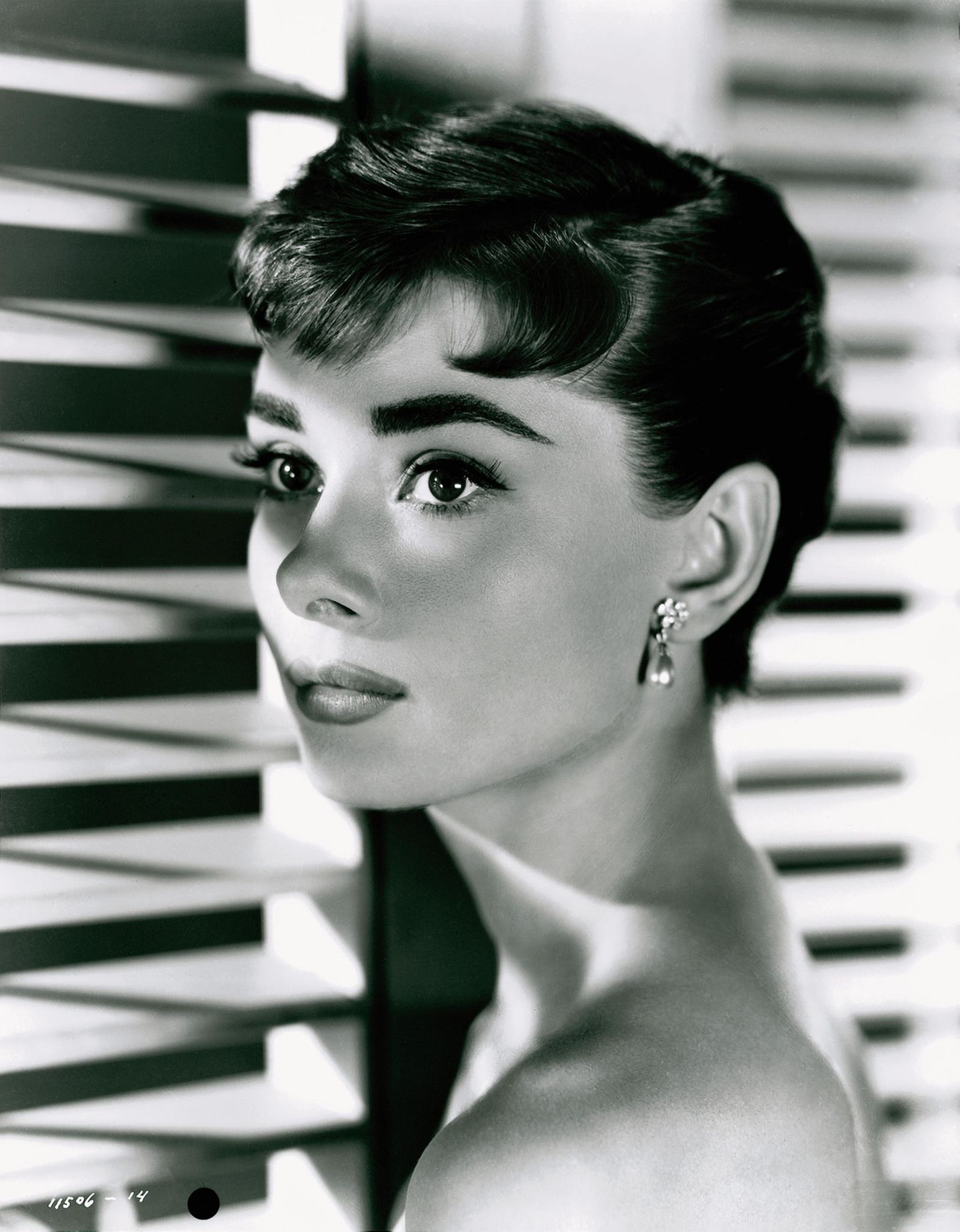 Audrey Hepburn Audrey Hepburn