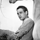 Paul Newman