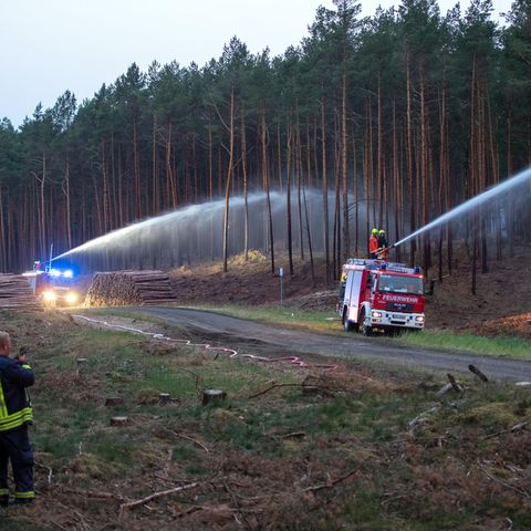 Mehr als 350 Feuerwehrleute bemühen sich, den Brand nahe des ehemaligen Truppenübungsplatzes bei Lübtheen unter Kontrolle zu bringen