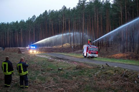 Mehr als 350 Feuerwehrleute bemühen sich, den Brand nahe des ehemaligen Truppenübungsplatzes bei Lübtheen unter Kontrolle zu bringen