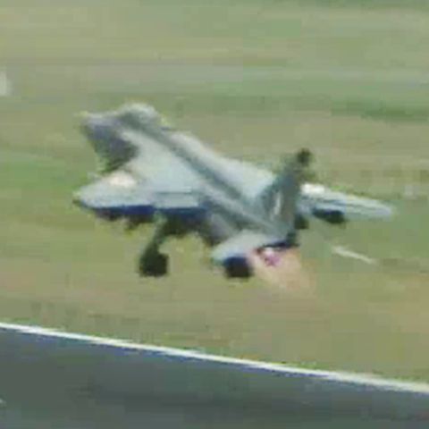 Kampfjet Vogelschlag