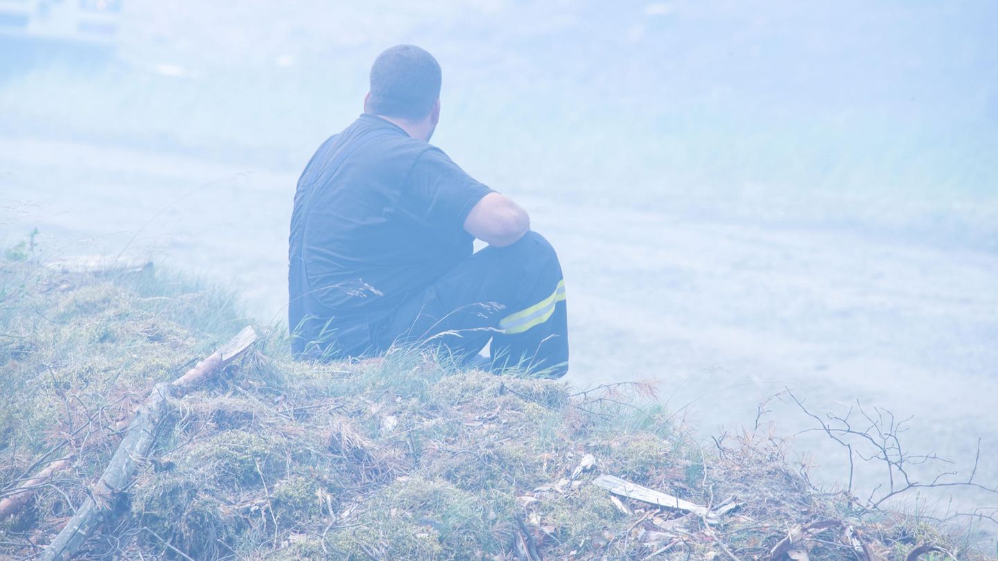 Lübtheen Feuer Brand Wald