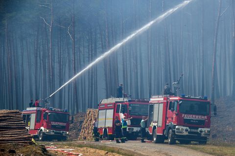 Auf einem Waldweg stehen drei Feuerwehrwagen. Der hinterste spritzt mit einer Wasserkanone in den verrauchten Wald hinein