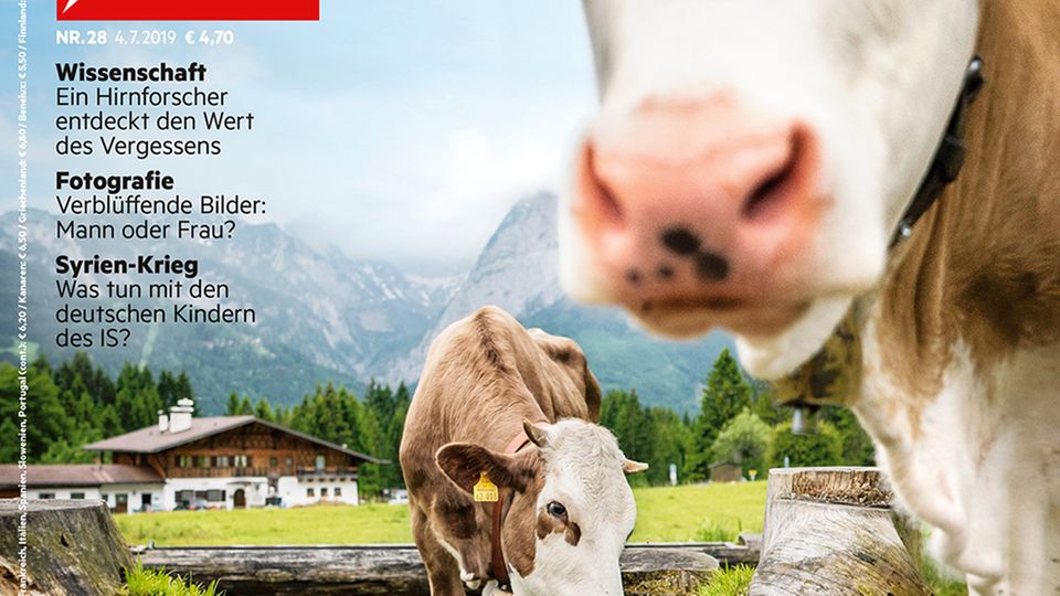 Sommerfrische in den Bergen: Urlaubsziel Bayern: "Auf dem Land blühe ich auf"