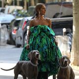 Céline Dion in Paris