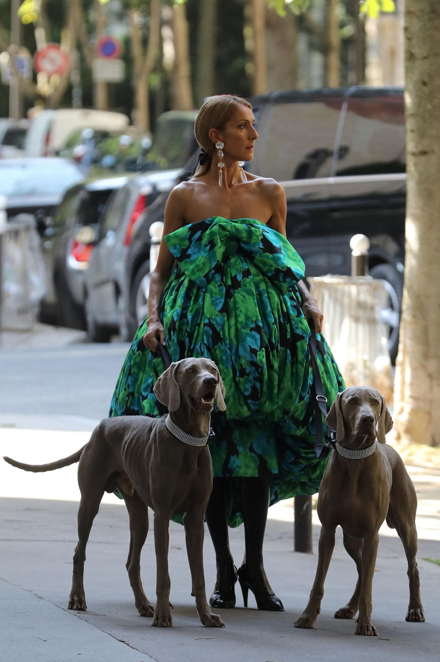Céline Dion in Paris
