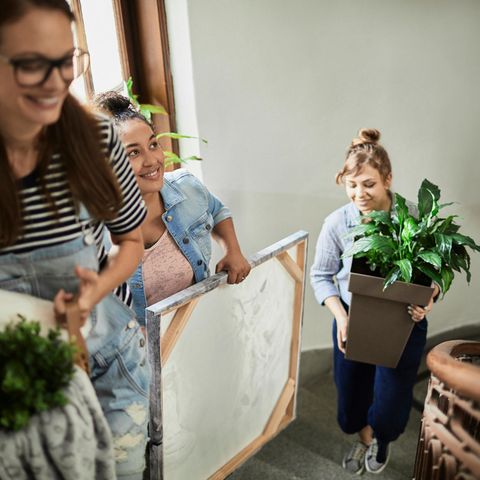 WG-Zimmer einrichten? Mit diesen fünf Pinterest-Ideen gelingt es