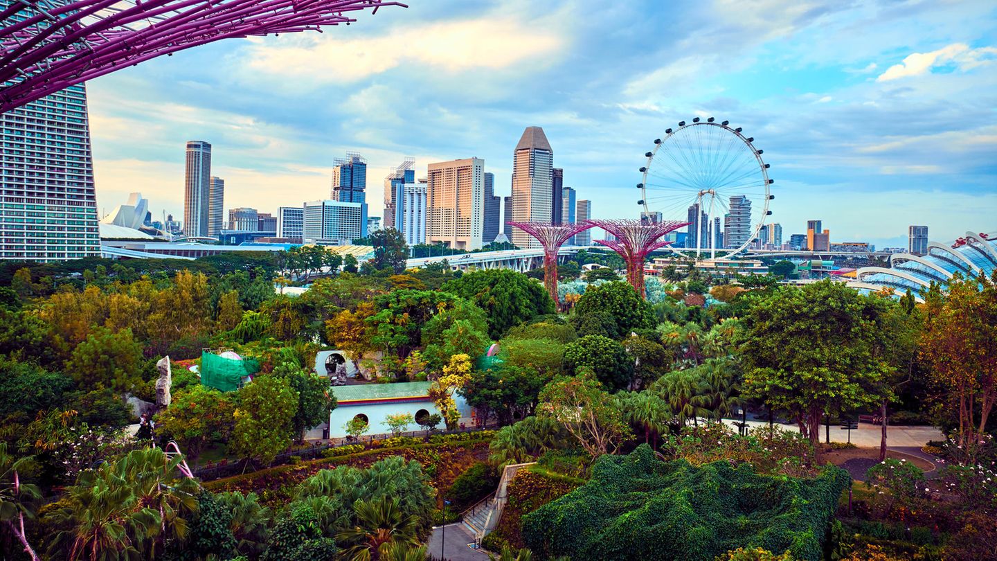 Der Botanische Garten von Singapur Botanischer Garten